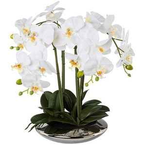 Kunstpflanze, Weiß, Kunststoff, 41 cm, Dekoration, Blumen & Zubehör, Kunstpflanzen