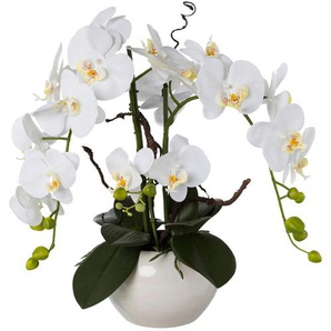 Kunstpflanze, Weiß, Kunststoff, 55 cm, Dekoration, Blumen & Zubehör, Kunstpflanzen