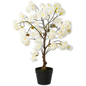 Kunstpflanze, Weiß, Kunststoff, 70 cm, Dekoration, Blumen & Zubehör, Kunstpflanzen