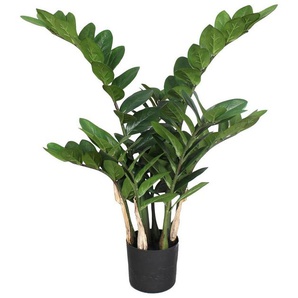 Kunstpflanze Zamifolia, Creativ green, Höhe 70 cm