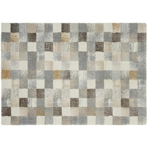 Kurzflorteppich   ¦ grau ¦ Synthetische Fasern ¦ Maße (cm): B: 120 H: 2