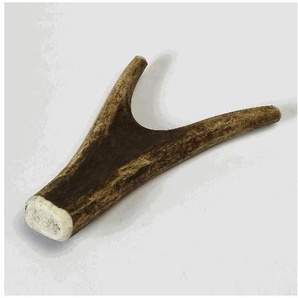 Larsson Geweih Full-Chew S GLO689309775