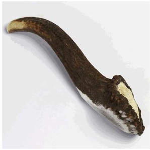 Larsson Geweih Full-Chew XXL GLO689309779