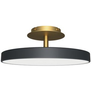 LED-Deckenleuchte Asteria Up Umage anthrazit/messingfarben mehrfarbig, Designer Soren Ravn Christensen, 16.9 cm