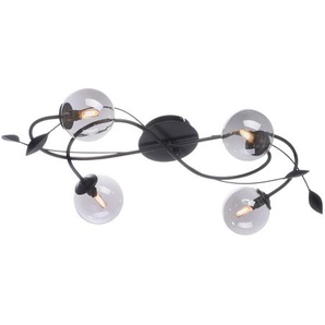 LED Deckenleuchte PAUL NEUHAUS WIDOW Lampen Gr. 4 flammig, schwarz LED Deckenlampen