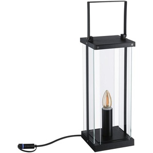 LED Gartenleuchte PAULMANN Plug&Shine Lampen Gr. 1 flammig, Höhe: 51,5 cm, grau (anthrazit) Gartenleuchten E14, IP44 24V 40cm E14 1900K Anthrazit