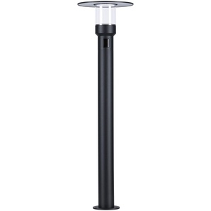 LED Gartenleuchte PAULMANN Sienna 230V Pollerleuchte Lampen Gr. 1 flammig, Ø 21,2 cm Höhe: 78,0 cm, grau (anthrazit) Gartenleuchten seewasserresistent, mit PIR-Sensor