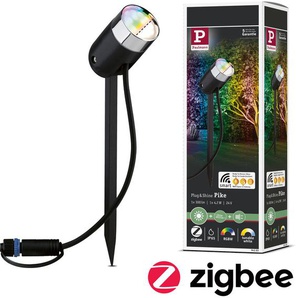 LED Gartenstrahler PAULMANN Plug & Shine Lampen Gr. 1 flammig, Ø 5 cm Höhe: 23 cm, grau (anthrazit) LED Außenstrahler LED-Modul, RGBW 24V IP44 ZigBee