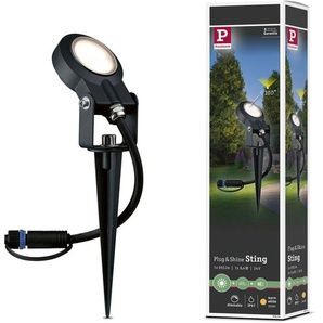 LED Gartenstrahler PAULMANN Plug & Shine Lampen Gr. 1 flammig, Ø 5 cm Höhe: 29 cm, grau (anthrazit) LED Außenstrahler LED-Modul, IP67 3000K 24V Anthrazit