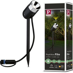 LED Gartenstrahler PAULMANN Plug & Shine Lampen Gr. 1 flammig, Ø 5 cm Höhe: 31 cm, grau (anthrazit) LED Außenstrahler LED-Modul, 3000K 24V Anthrazit