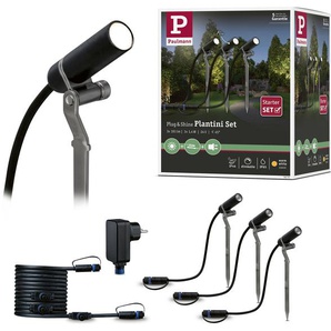 LED Gartenstrahler PAULMANN Plug & Shine Lampen Gr. 3 flammig, Ø 2 cm Höhe: 22 cm, grau (anthrazit) LED Außenstrahler LED-Modul, 3000K 24V Anthrazit