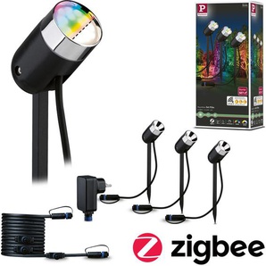 LED Gartenstrahler PAULMANN Plug & Shine Lampen Gr. 3 flammig, Ø 5 cm Höhe: 23 cm, grau (anthrazit) LED Außenstrahler LED-Modul, RGBW