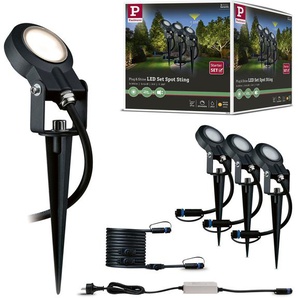 LED Gartenstrahler PAULMANN Plug & Shine Lampen Gr. 3 flammig, Ø 5 cm Höhe: 29 cm, grau (anthrazit) LED Außenstrahler LED-Modul, IP67, 3000K