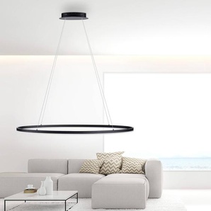 LED-Pendelleuchte 118cm Grau Teflonkabel LED LED-Platine