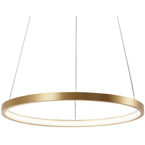 LED-Pendelleuchte Circle I Ø 39cm Gold/Gold