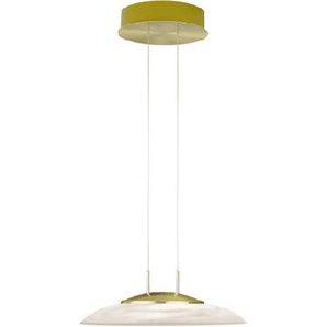 LED-Pendelleuchte Findus, gold, 42,5 cm