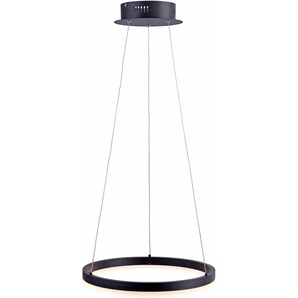 LED Pendelleuchte PAUL NEUHAUS TITUS Lampen Gr. Ø 40 cm Höhe: 120 cm, grau (anthrazit) LED Hängeleuchten und Pendelleuchten
