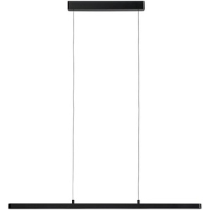 LED Pendelleuchte PAULMANN Lento Lampen Gr. Höhe: 2,5 cm, schwarz LED Hängeleuchten und Pendelleuchten