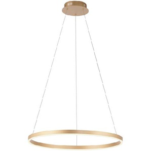 LED-Pendelleuchte Ritus, messing matt, 58,5 cm