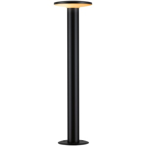LED Pollerleuchte PAULMANN Outdoor 230V Poller Plate insect friendly 2200-3000K IP44 Lampen Gr. 1 flammig, Ø 15,9 cm Höhe: 60,0 cm, grau (anthrazit) Pollerleuchten Insektenfreundlich
