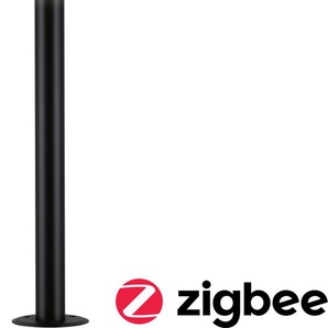 LED Pollerleuchte PAULMANN Outdoor 230V Poller Plate RGBW IP44 Lampen Gr. 1 flammig, Ø 15,9 cm Höhe: 60,0 cm, grau (anthrazit) Pollerleuchten IP44 RGBW