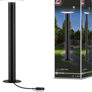LED Pollerleuchte PAULMANN Plug & Shine Lampen Gr. 1 flammig, Ø 16 cm Höhe: 60 cm, grau (anthrazit) Pollerleuchten LED-Modul, IP44 3000K 24V Anthrazit