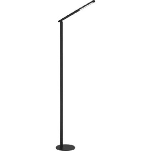 LED-Standleuchte CCT Ideal, schwarz, 175 cm