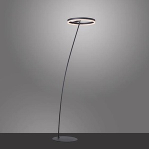LED Stehlampe PAUL NEUHAUS TITUS Lampen Gr. 1 flammig, Ø 45,5 cm, grau (anthrazit) Standleuchte Stehlampe Standleuchten dimmbar über Schnurdimmer