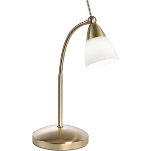 LED Tischleuchte PAUL NEUHAUS Pino Lampen Gr. 1 flammig, Höhe: 45 cm, grau (messingfarben) LED Tischlampen 3-Stufen Touchdimmer; flexibel verstellbar