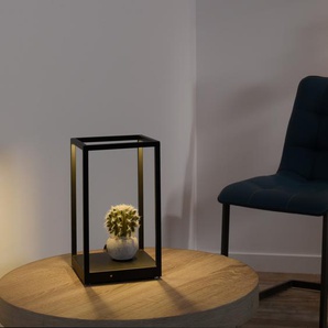 LED Tischleuchte PLACES OF STYLE Cashel Lampen Gr. 2 flammig, Höhe: 26,60 cm, schwarz LED Tischlampen Tischlampe, Warmweißes Licht, Dimmbar, Touchdimmer, Pflanzen Deko