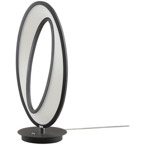 HELL-höllisch gutes Licht LED-Tischleuchte schwarz/ Acryl ¦ schwarz ¦ Maße (cm): H: 50  Ø: 23