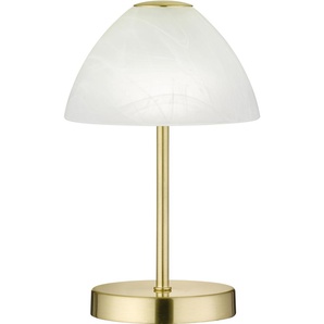 LED Tischleuchte TRIO LEUCHTEN Queen Lampen Gr. 1 flammig, Ø 15,0 cm Höhe: 24,0 cm, goldfarben (messingfarben matt) LED Tischlampen Tischlampe messing matt, mit Touchdimmer und alabasterfarbigem Glas