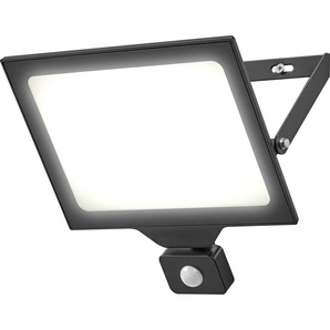 Ledvance LED Außen-Strahler FLOOD Essentials mit Sensor 100 W GLO775440816