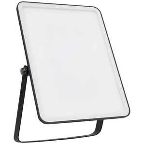 Ledvance LED Außenleuchte Flood Essential 50 Watt schwarz GLO775440781
