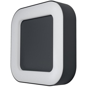 Ledvance Led-Wandleuchte Endura Style Square , Dunkelgrau , Metall, Kunststoff , quadratisch,quadratisch , 20.2x4.5 cm , Lampen & Leuchten, Innenbeleuchtung, Wandleuchten