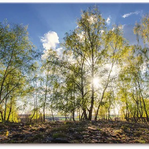 Leinwandbild ARTLAND Frühlingssonne Bilder Gr. B/H: 150 cm x 75 cm, Wald Querformat, 1 St., grün Leinwandbilder