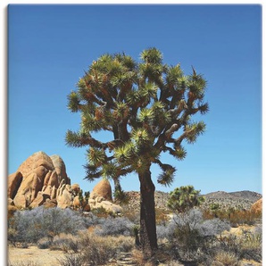 Leinwandbild ARTLAND Joshua Tree in der Mojave Wüste III Bilder Gr. B/H: 80 cm x 120 cm, Wüste Hochformat, 1 St., blau Leinwandbilder