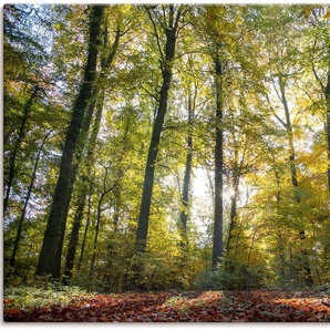 Leinwandbild ARTLAND Laubwald zum Herbst Bilder Gr. B/H: 120 cm x 80 cm, Waldbilder Querformat, 1 St., grün Leinwandbilder auf Keilrahmen gespannt