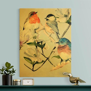 Leinwandbild Bunte Vögel auf einem Magnolienzweig I