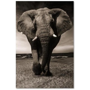 Leinwandbild Elefant xxl in der Savanne