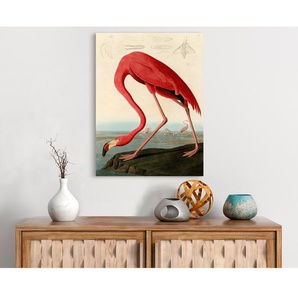 Leinwandbild - Gemälde „American Red Flamingo” von John James Audubon