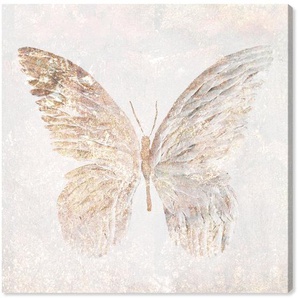 Leinwandbild Golden Butterfly Glimmer