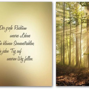 Leinwandbild HOME AFFAIRE Der große Reichtum unseres Lebens sind… Bilder Gr. B/H: 120 cm x 60 cm, beige (beige grün) Leinwandbilder Maße (BH): 12060 cm