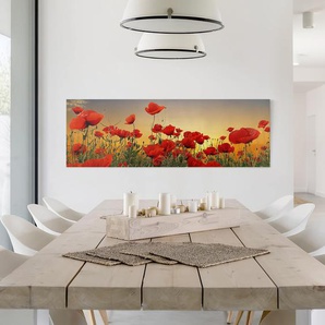 Leinwandbild Mohnblumenfeld I Leinen Rot 150cm