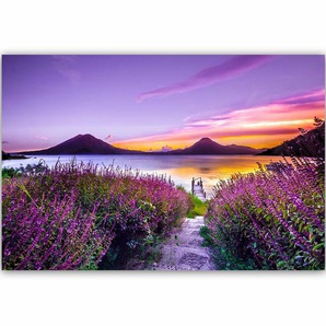 Leinwandbild Purple Paradise