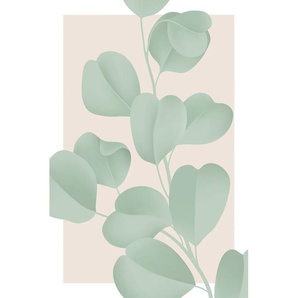 Leinwandbild QUEENCE Blätter mit rosa Hintergrund Bilder Gr. B/H/T: 80 cm x 120 cm x 2 cm, grün Leinwandbilder