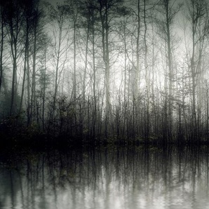 Leinwandbild QUEENCE Der Nebel Bilder Gr. B/H: 90 cm x 60 cm, rechteckig Bäume-Baumbilder Querformat, 1 St., grau Leinwandbilder