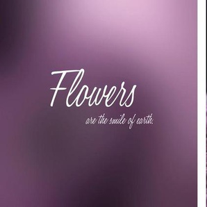 Leinwandbild QUEENCE Flower Bilder Gr. B/H/T: 100 cm x 40 cm x 2 cm, lila (bunt) Leinwandbilder 2er-Set