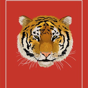 Leinwandbild QUEENCE Tiger ALLEZ HOP Bilder Gr. B/H/T: 80 cm x 120 cm x 2 cm, braun Leinwandbilder