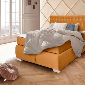 Boxspringbett LEONIQUE Rumba Komplettbetten Gr. Bezug in Samtoptik, Liegefläche B/L: 140 cm x 200 cm, Gewicht bis: 100 kg H3, Taschen-Federkernmatratze, goldfarben Boxspringbett Polsterbetten Seniorenbett ohne Bettkasten Komplettbetten